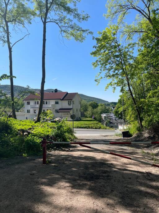 Appartement Fin Sentralt Hybel I Drammen Extérieur photo