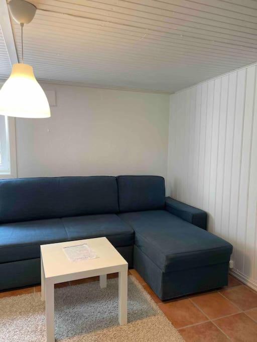 Appartement Fin Sentralt Hybel I Drammen Extérieur photo