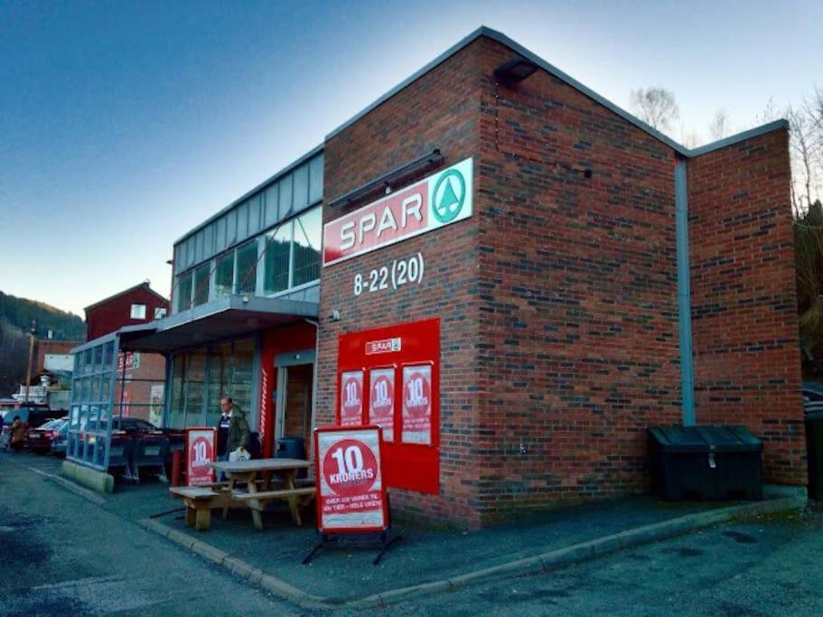 Appartement Fin Sentralt Hybel I Drammen Extérieur photo
